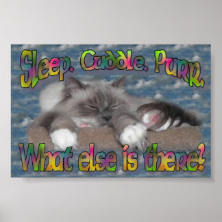 Sov, skaka, purr! poster