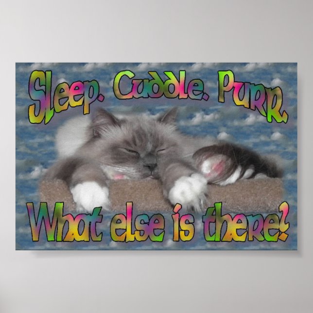 Sov, skaka, purr! poster (Framsidan)