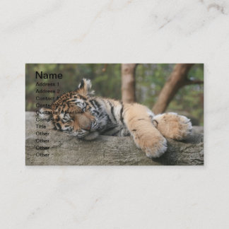 Sova babytigern visitkort