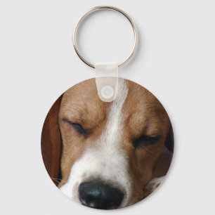 Sova beaglen Keychain Nyckelring
