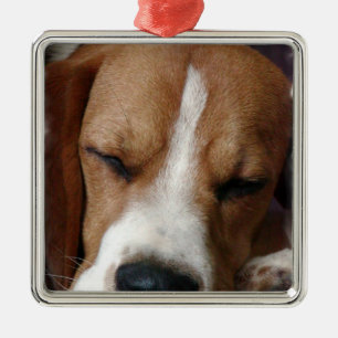Sova Beagleprydnaden Julgransprydnad Metall