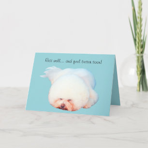 Sova Bichon det Frise illustrerade hälsningkortet Kort