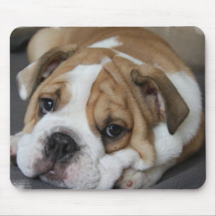 Sova bulldoggmusen vaddera musmatta