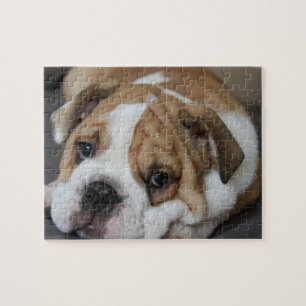 Sova bulldoggpussel pussel
