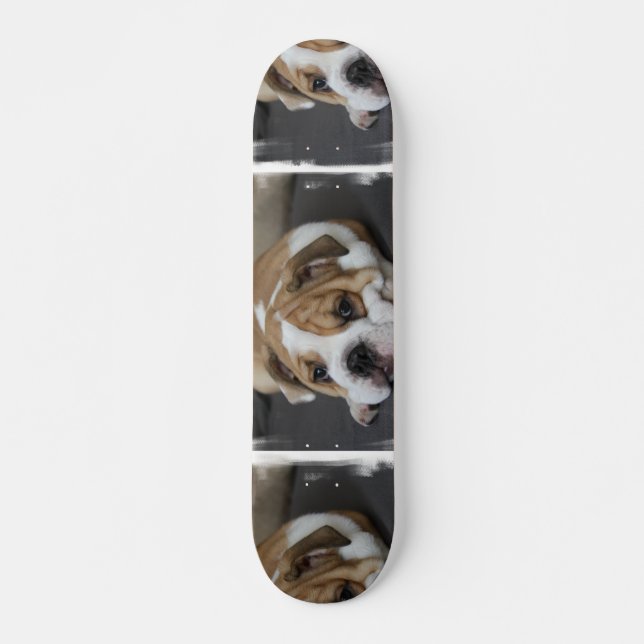 Sova bulldoggskateboarden old school skateboard bräda 21,6 cm (Framsida)