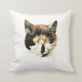 Sova Calicokatten Kudde