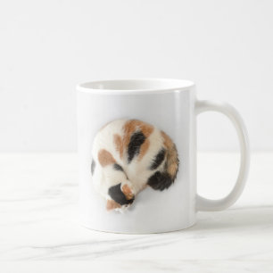Sova Calicokattmuggen Kaffemugg