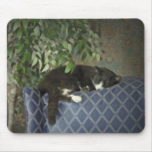 Sova catnapen, kattungekattunge Mousepad Musmatta