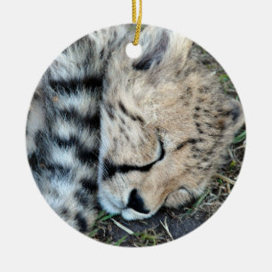 Sova Cheetahungefotoet Julgransprydnad Keramik