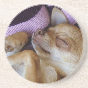 Sova chihuahuaen underlägg