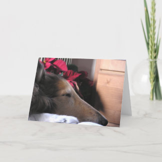 Sova Colliehelgdagkortet Helgkort