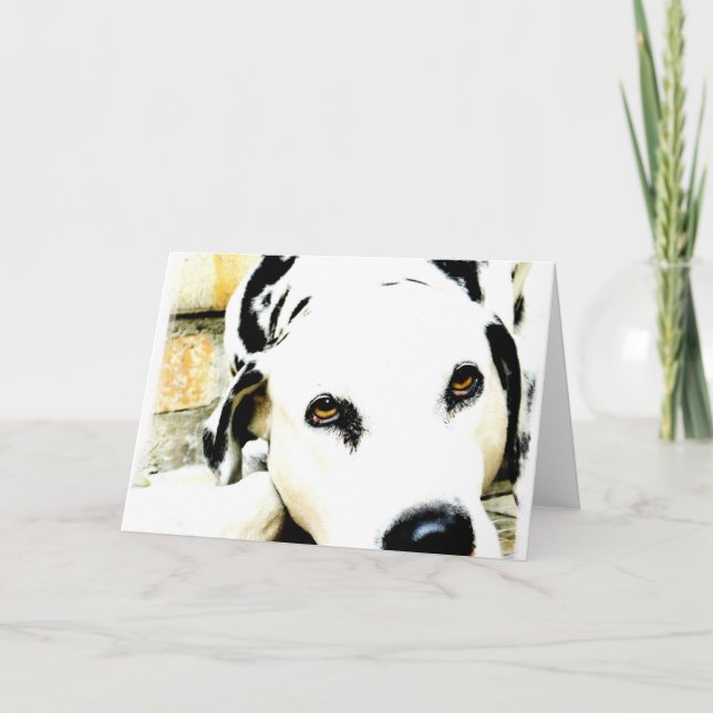 Sova Dalmatian hälsningkort Kort (Framsida)