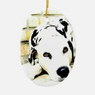 Sova Dalmatianprydnadar Julgransprydnad Keramik