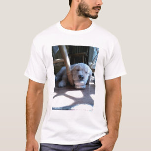 Sova den guld- Retrievervalpen T-shirt