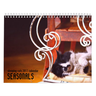 Sova den kattväggkalendern 2017 kalender