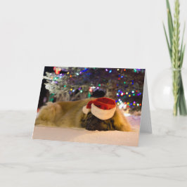 Sova den Leonberger julkortet Helgkort