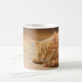 Sova den orange tabby katt kaffemugg
