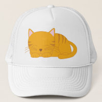 Sova den orange tabby katt