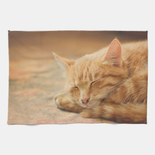 Sova den orange tabby katt kökshandduk