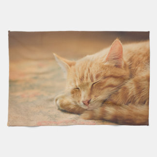 Sova den orange tabby katt kökshandduk