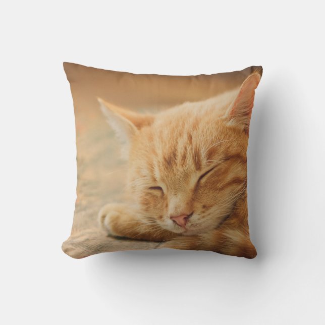 Sova den orange tabby katt kudde (Framsida)