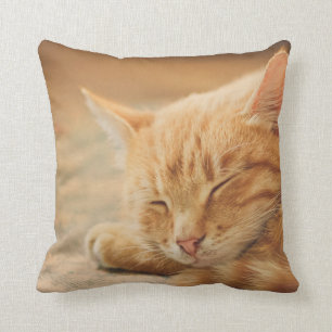 Sova den orange tabby katt kudde