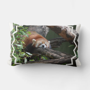 Sova den röda pandaen kudde