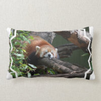 Sova den röda pandaen kudde