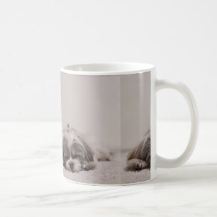Sova den Shih tzumuggen som sovar hunden Kaffemugg