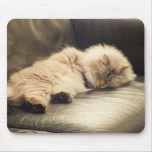 Sova den Siberian katten Mousepad Musmatta