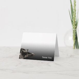 Sova den svart katten på svart lutning tack kort