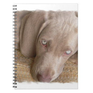Sova den Weimaraner anteckningsboken Anteckningsbok Med Spiral