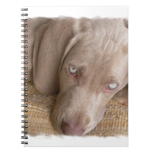 Sova den Weimaraner anteckningsboken Anteckningsbok Med Spiral (Framsidan)