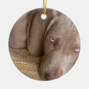 Sova den Weimeraner hundprydnaden Julgransprydnad Keramik