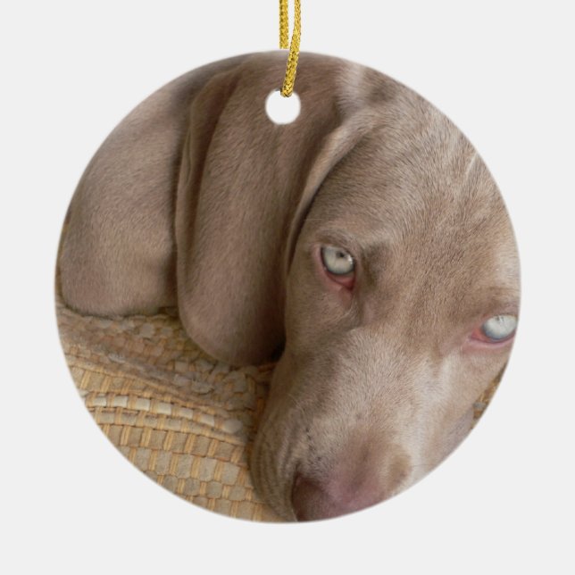 Sova den Weimeraner hundprydnaden Julgransprydnad Keramik (Framsidan)