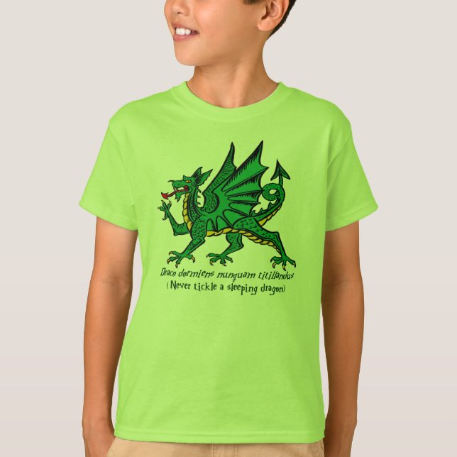 Sova drakeskjortan tee (Framsida)