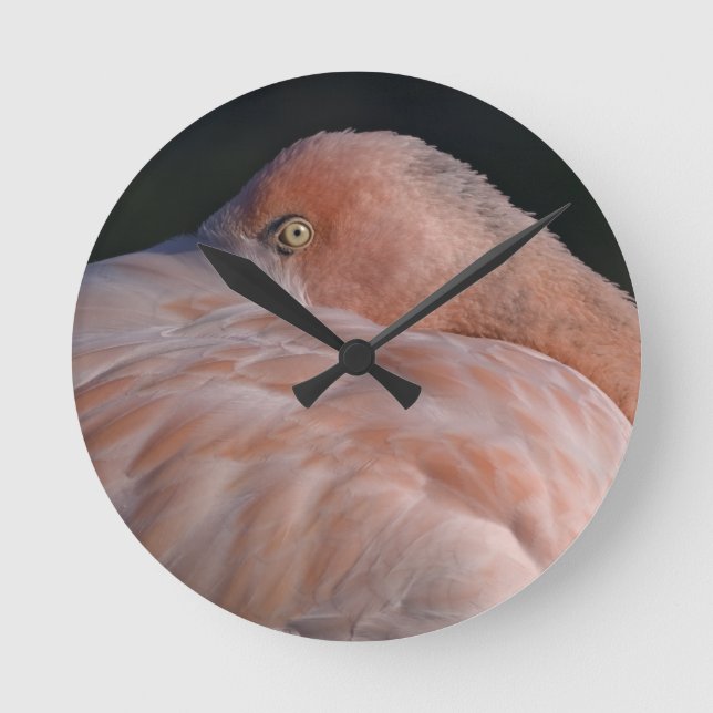 Sova flamingoen ta tid på rund klocka (Framsida)