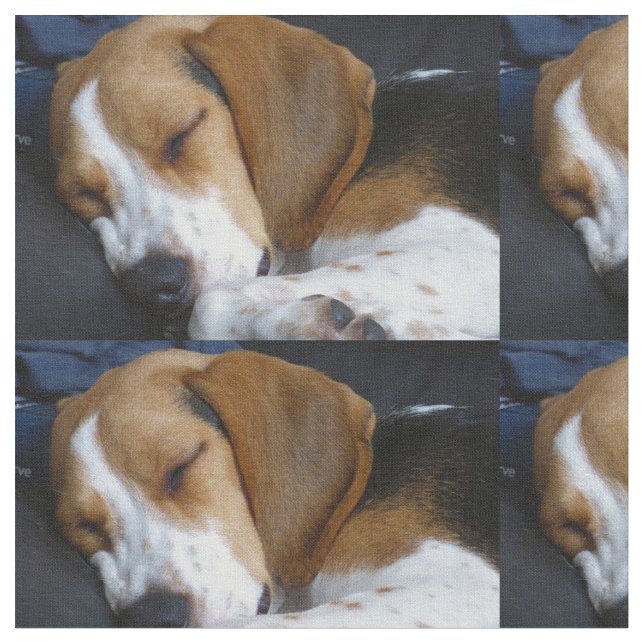 sova för beagle tyg (Närbild)