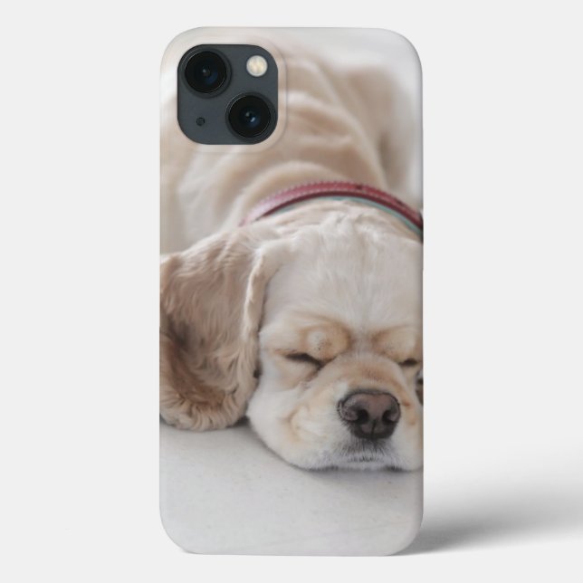 Sova för cockerspanielspanielhund (Baksida)