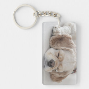 Sova för cockerspanielspanielhund