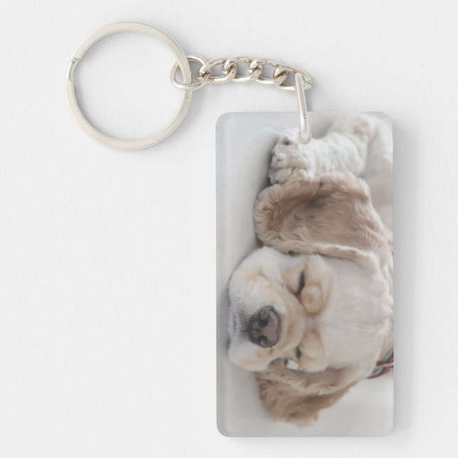 Sova för cockerspanielspanielhund (Framsidan)