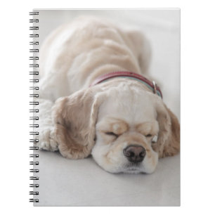 Sova för cockerspanielspanielhund anteckningsbok med spiral