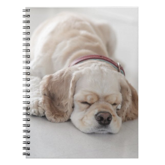 Sova för cockerspanielspanielhund anteckningsbok med spiral (Framsidan)