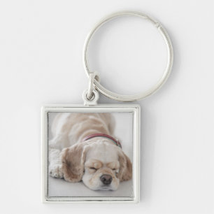 Sova för cockerspanielspanielhund fyrkantig silverfärgad nyckelring