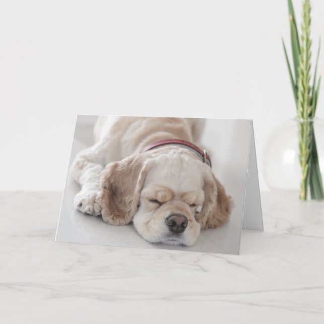 Sova för cockerspanielspanielhund kort (Framsida)