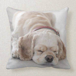 Sova för cockerspanielspanielhund kudde