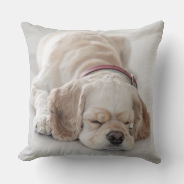 Sova för cockerspanielspanielhund kudde (Framsida)
