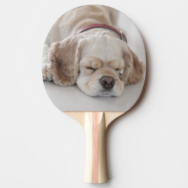 Sova för cockerspanielspanielhund pingisracket (Framsidan)