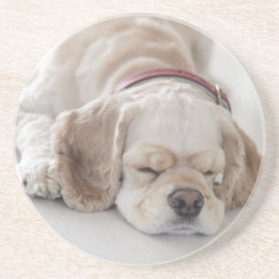 Sova för cockerspanielspanielhund underlägg