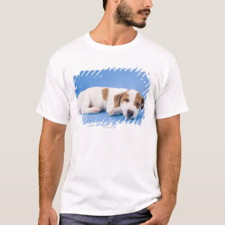 Sova för hund tee